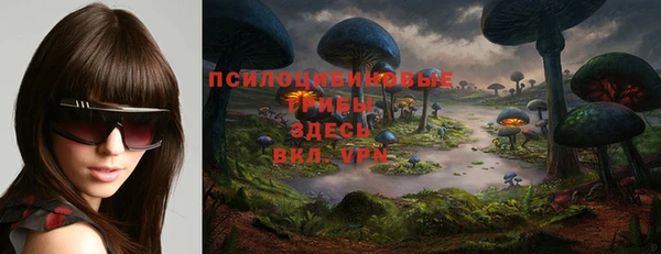 эйфоретик Алексеевка