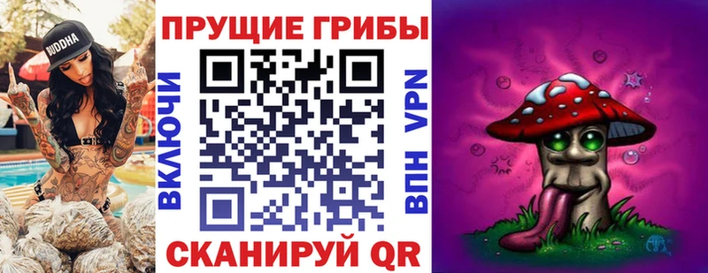 сайты даркнета как зайти  Перевоз  Галлюциногенные грибы прущие грибы 